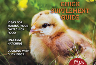 Backyard Poultry — February/March 2026